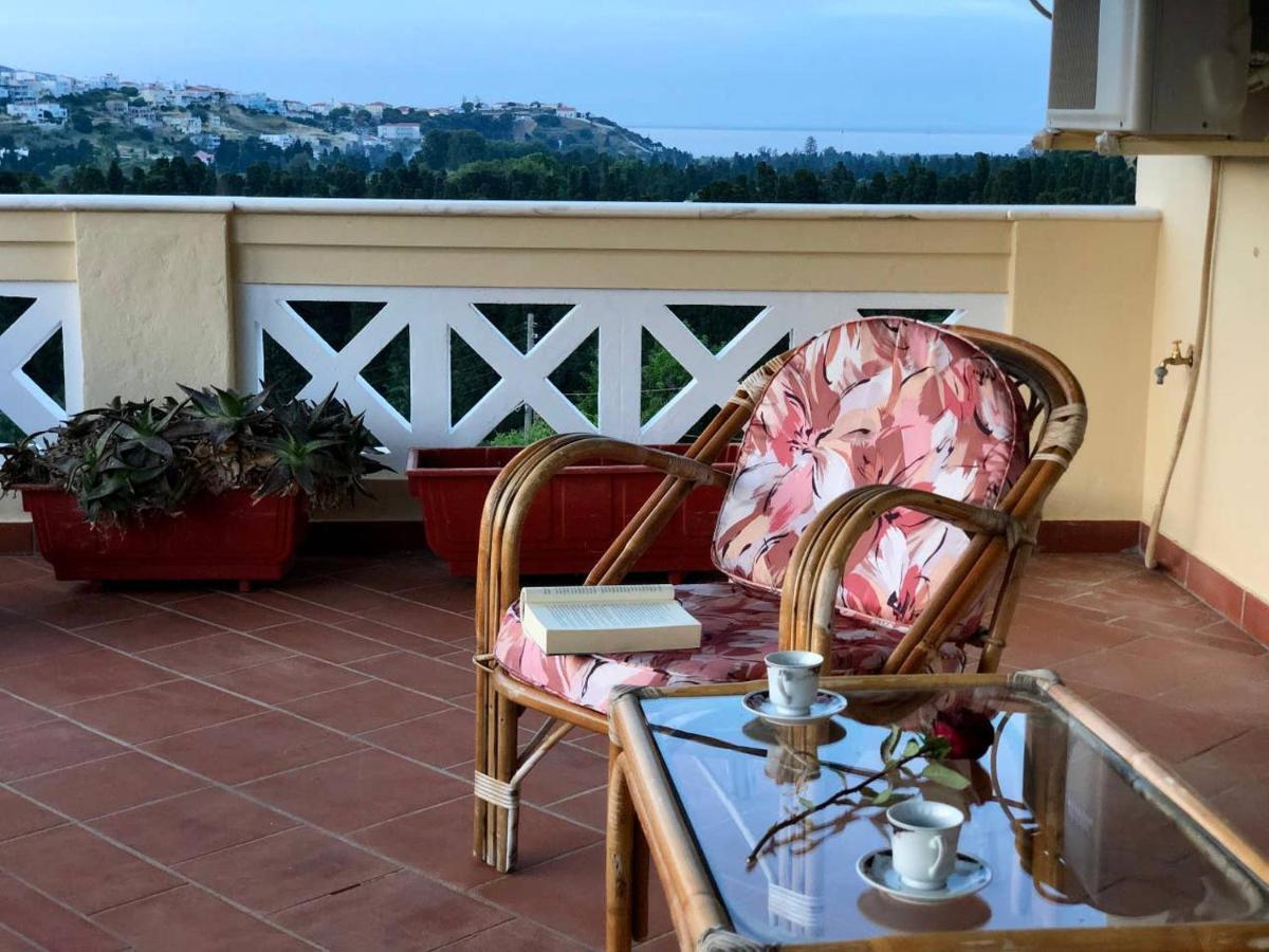 Villa Andros Epoque Livádhia エクステリア 写真
