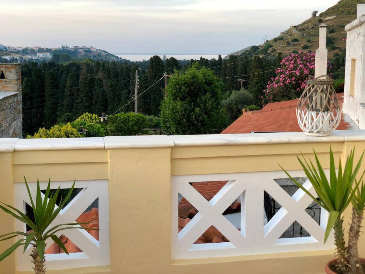 Villa Andros Epoque Livádhia エクステリア 写真