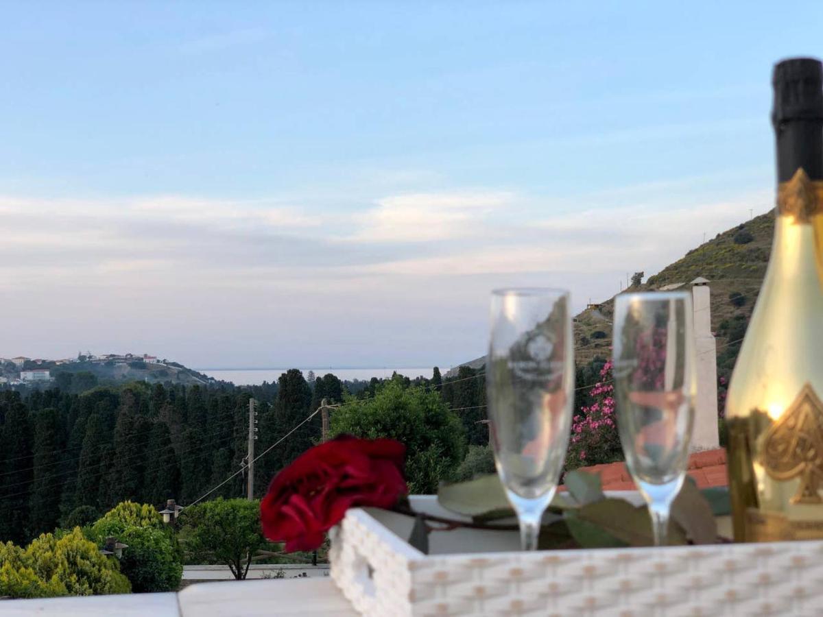 Villa Andros Epoque Livádhia エクステリア 写真