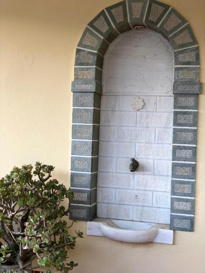 Villa Andros Epoque Livádhia エクステリア 写真